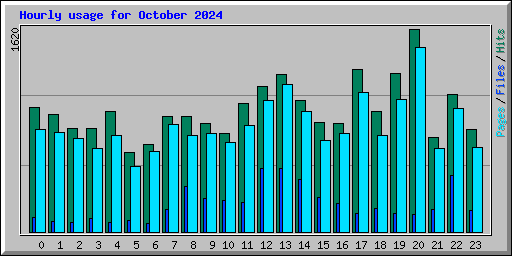 Hourly usage for October 2024